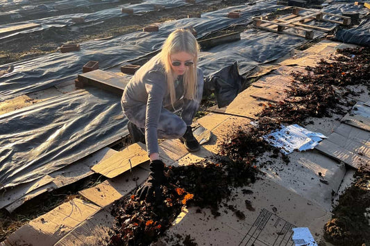 From Boards to Beets: How I Compost Our Cardboard Off-Cuts at the Allotment