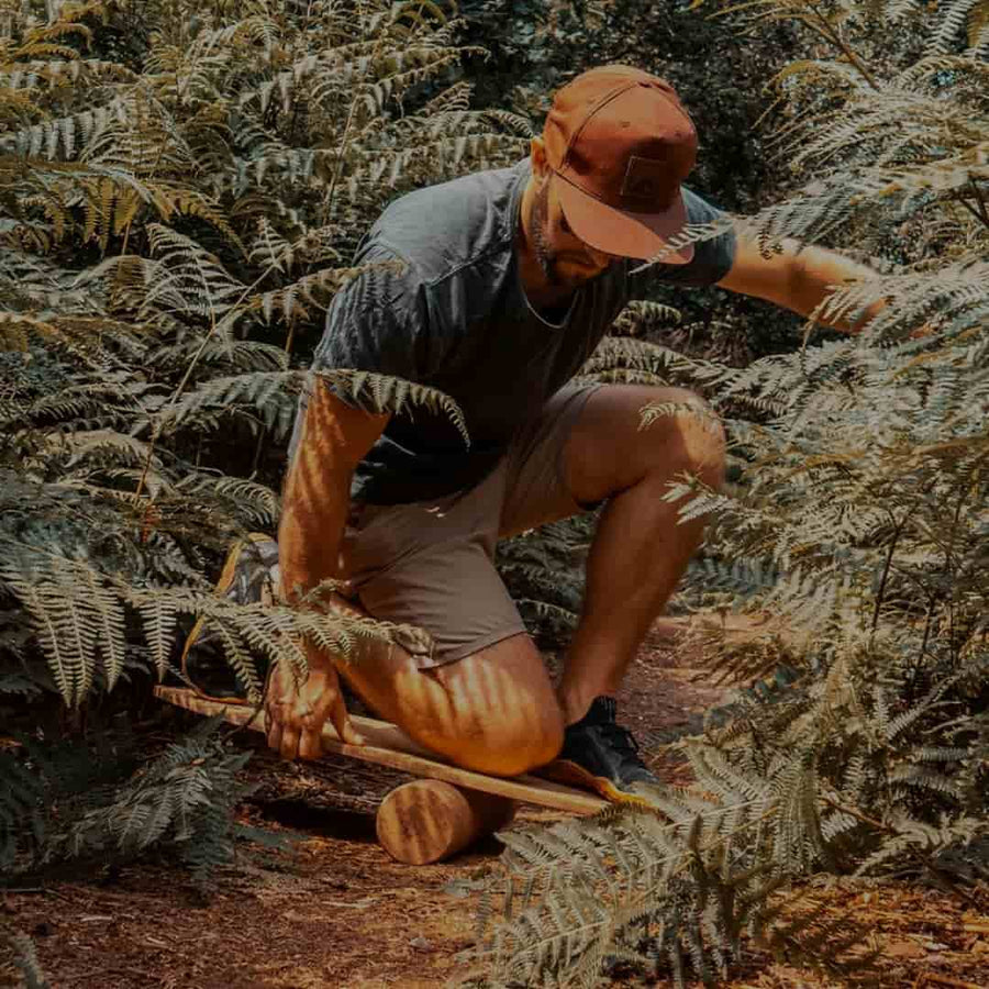 A Norst surf balance board among ferns